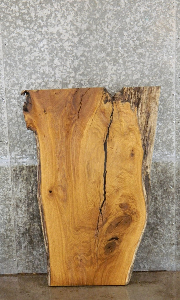 Rustic White Oak Coffee Table/Desk Top Wood Slab CLOSEOUT 42290