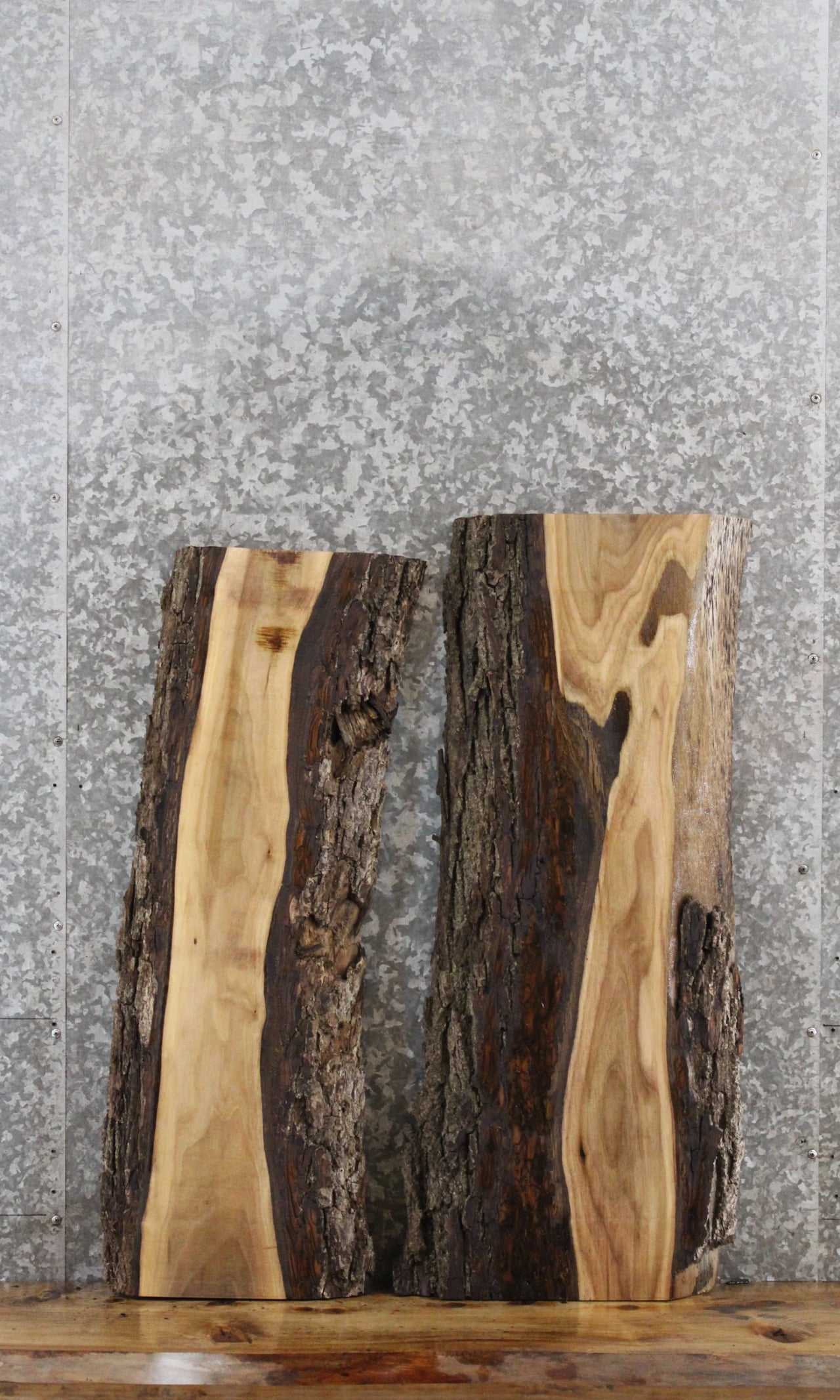 2- Black Walnut Live Edge Charcuterie/Taxidermy Slabs 42291