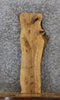 Thumbnail for Ash Live Edge Charcuterie/Taxidermy Slab 42294