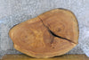 Thumbnail for 2- Live Edge Oval Cut Ash Split Board Slab Halves 42295