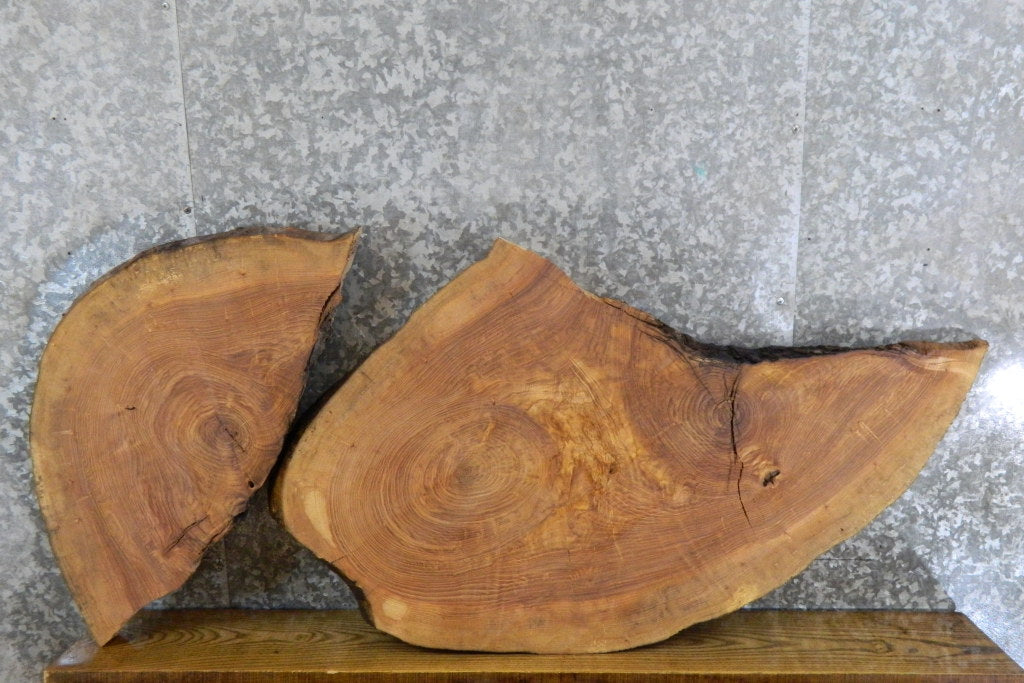 2- Live Edge Oval Cut Ash Split Board Slab Halves 42295