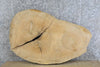 Thumbnail for 2- Live Edge Oval Cut Ash Split Board Slab Halves 42295