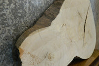 Thumbnail for Natural Edge Ash Oval Cut Sofa Table Top CLOSEOUT 42298