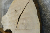 Thumbnail for Natural Edge Ash Oval Cut Sofa Table Top CLOSEOUT 42298