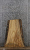 Thumbnail for Ash Live Edge Coffee/End Table Slab 42304