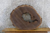 Thumbnail for Black Walnut Live Edge Coffee Table Top Slab, Epoxy 42306