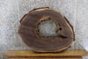 Thumbnail for Black Walnut Live Edge Coffee Table Top Slab, Epoxy 42307