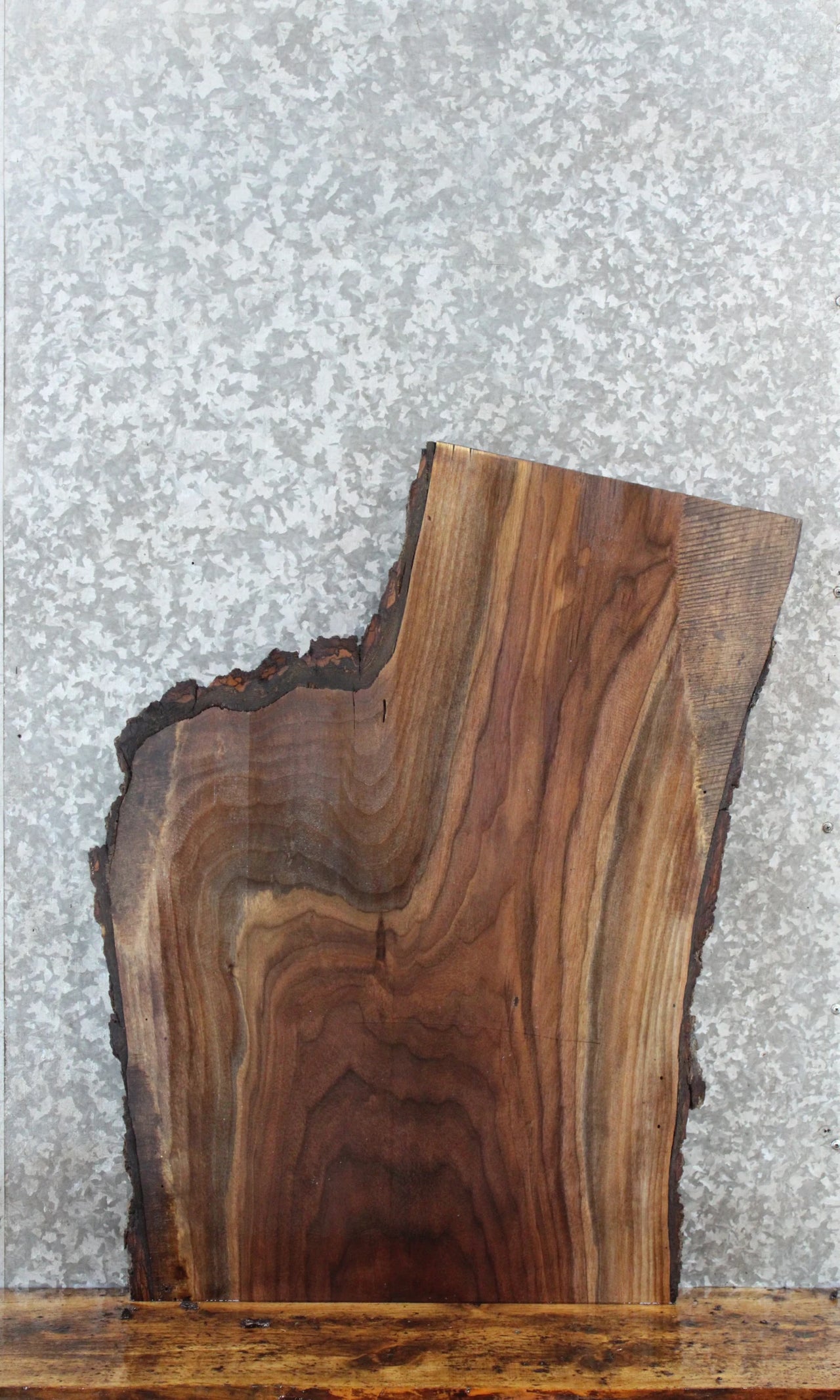Live Edge Black Walnut Coffee/Sofa Table Top Slab 42310