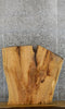 Thumbnail for Live Edge Ash Desk/Coffee Table Top Wood Slab 42312