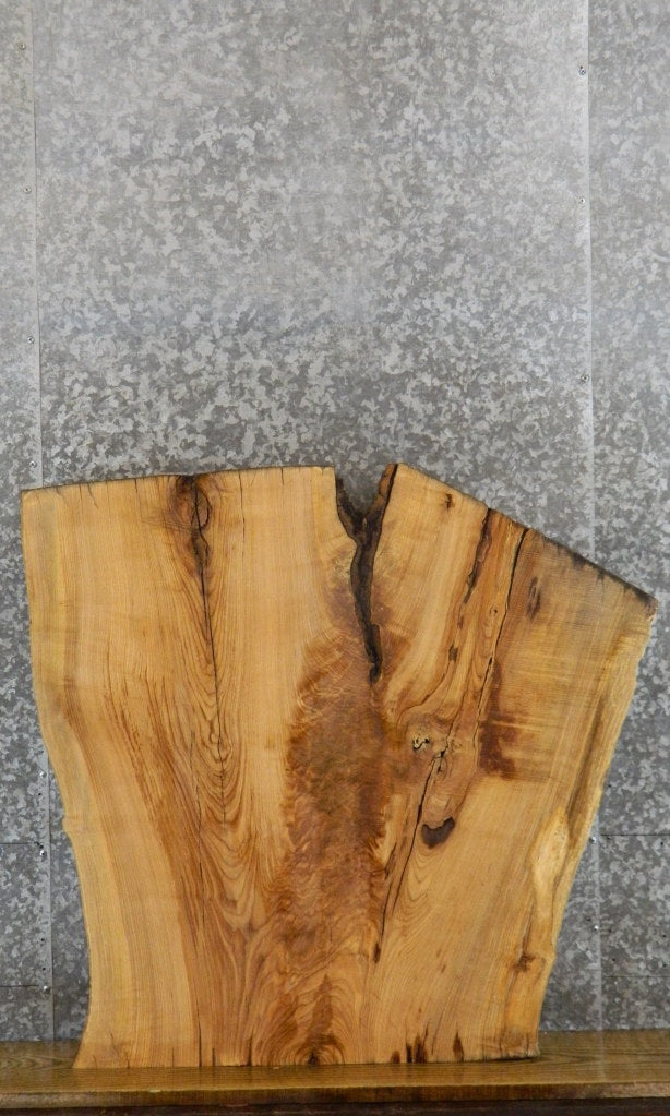 Live Edge Ash Desk/Coffee Table Top Wood Slab 42312