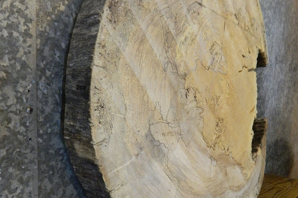 Live Edge Spalted Maple Round Cut Table Top Slab CLOSEOUT 42313
