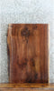 Thumbnail for Live Edge Black Walnut Sofa/Coffee Table Top Slab 42314