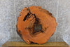 Thumbnail for Live Edge Red Oak Round Cut Coffee Table Top Slab 42315