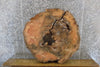 Thumbnail for Live Edge Red Oak Round Cut Coffee Table Top Slab 42315
