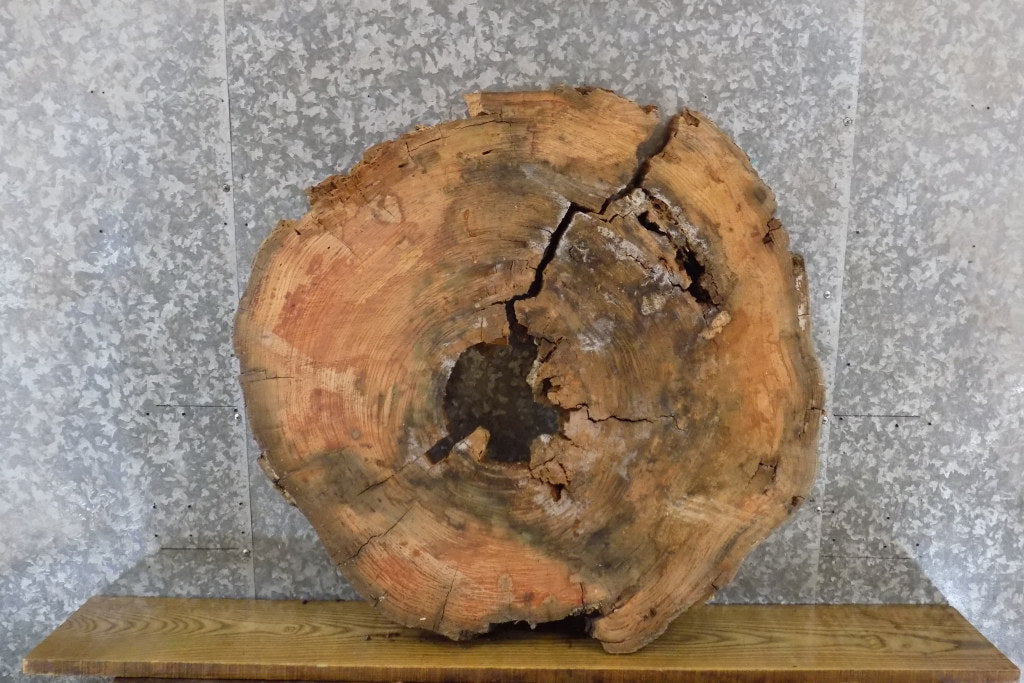 Live Edge Red Oak Round Cut Coffee Table Top Slab 42315