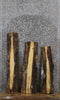 Thumbnail for 3- Ash Live Edge Taxidermy Slabs 42316,42318-42319
