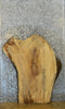 Thumbnail for Live Edge Ash Rustic Sofa/Coffee Table Top Wood Slab 42317