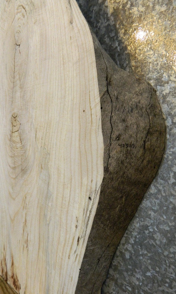Live Edge Ash Rustic Sofa/Coffee Table Top Wood Slab 42317