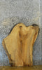 Thumbnail for Live Edge Ash Rustic Sofa/Coffee Table Top Wood Slab 42317