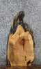 Thumbnail for Live Edge Maple Coffee/Sofa Table Top Slab 4241