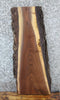 Thumbnail for Live Edge Black Walnut Side/Console Table Top Slab 4243