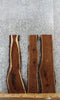 Thumbnail for 3- Live Edge Black Walnut Wall Shelves/Side Table Tops 4244-4246