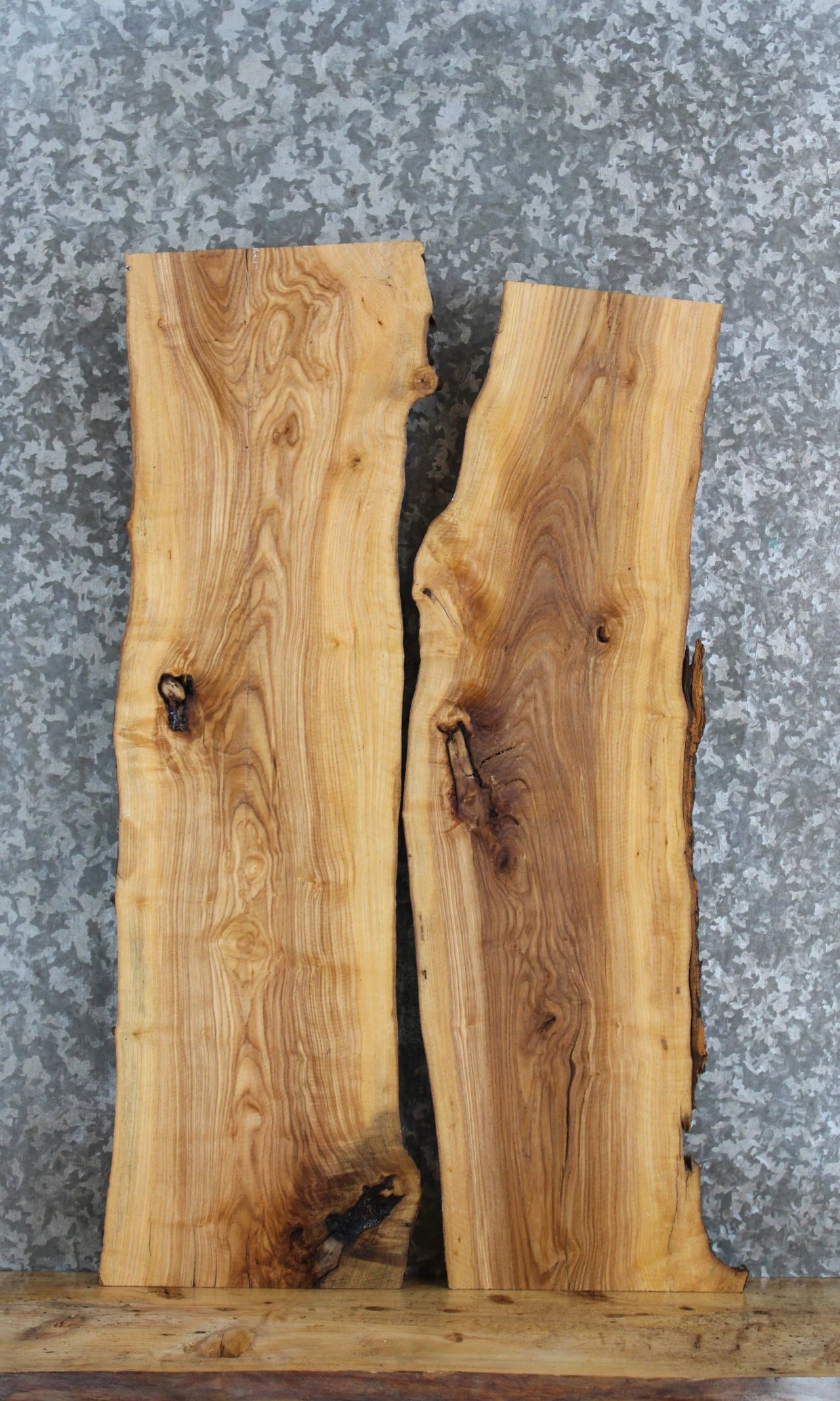 2- Live Edge Ash Side Table Tops/Taxidermy Mounts 4247-4248