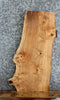 Thumbnail for Live Edge Ash Side Table Top/Taxidermy Mount 4251
