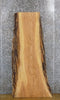 Thumbnail for Ash Salvaged Live Edge Bark Coffee Table/Desk Top Slab 425