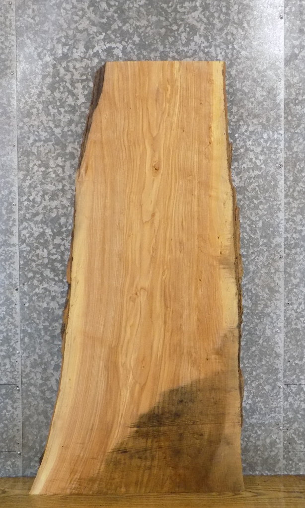 Ash Salvaged Live Edge Bark Coffee Table/Desk Top Slab 425