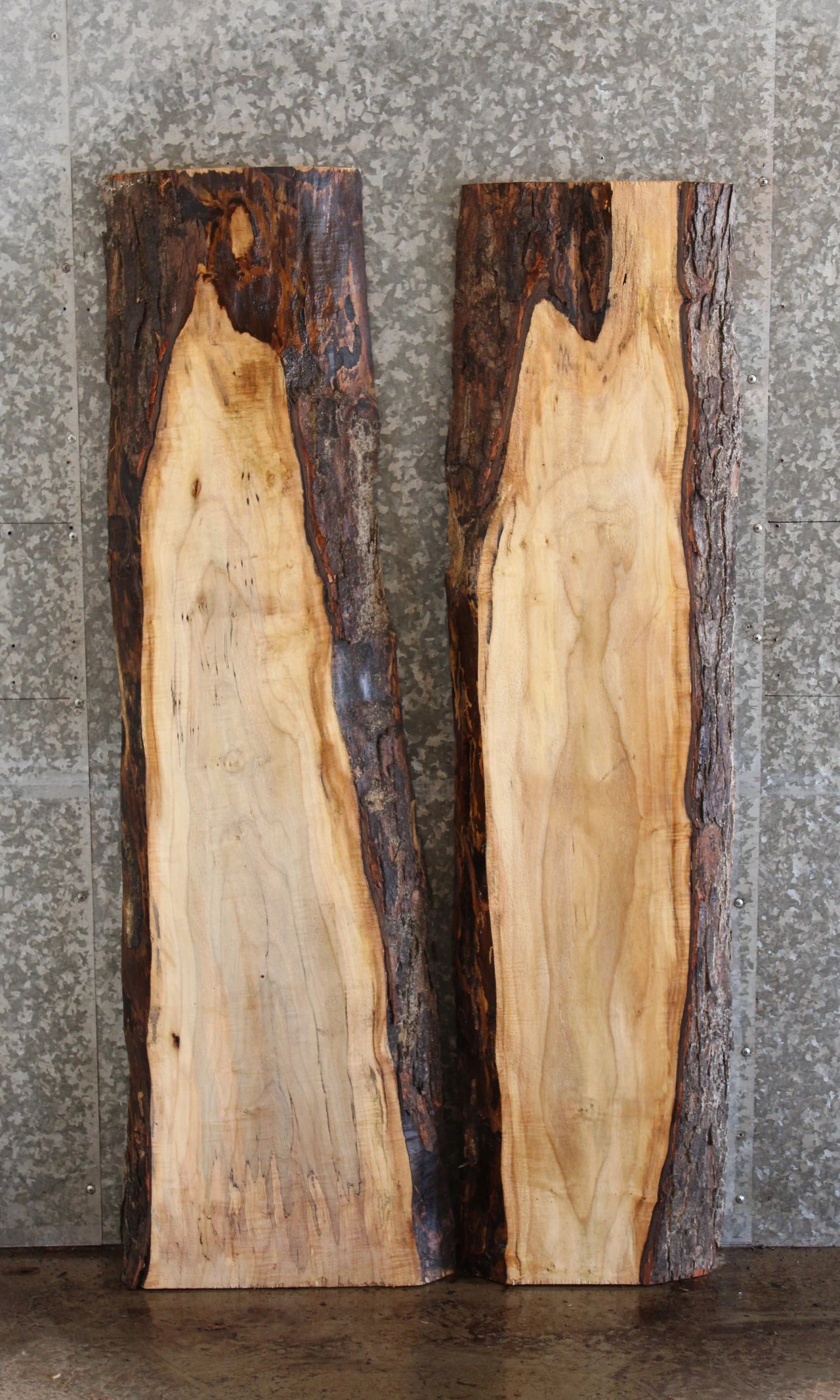 2- Live Edge Maple Side/ Sofa Tables/Wall Shelves 426-427