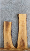Thumbnail for 2- Live Edge Ash Taxidermy Mounts/Side Table Tops 4261-4262