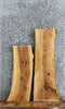 Thumbnail for 2- Live Edge Ash Taxidermy Mounts/Side Table Tops 4261-4262