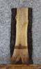 Thumbnail for Live Edge Black Walnut Side/Sofa Table Top Slab 4280