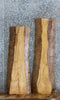 Thumbnail for 2- L:ive Edge Ash Taxidermy Mounts/Side Table Tops 4281-4282