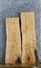 Thumbnail for 2- L:ive Edge Ash Taxidermy Mounts/Side Table Tops 4281-4282