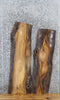 Thumbnail for 2- Live Edge Elm Side Table Top/Taxidermy Mount Slabs 4301-4302