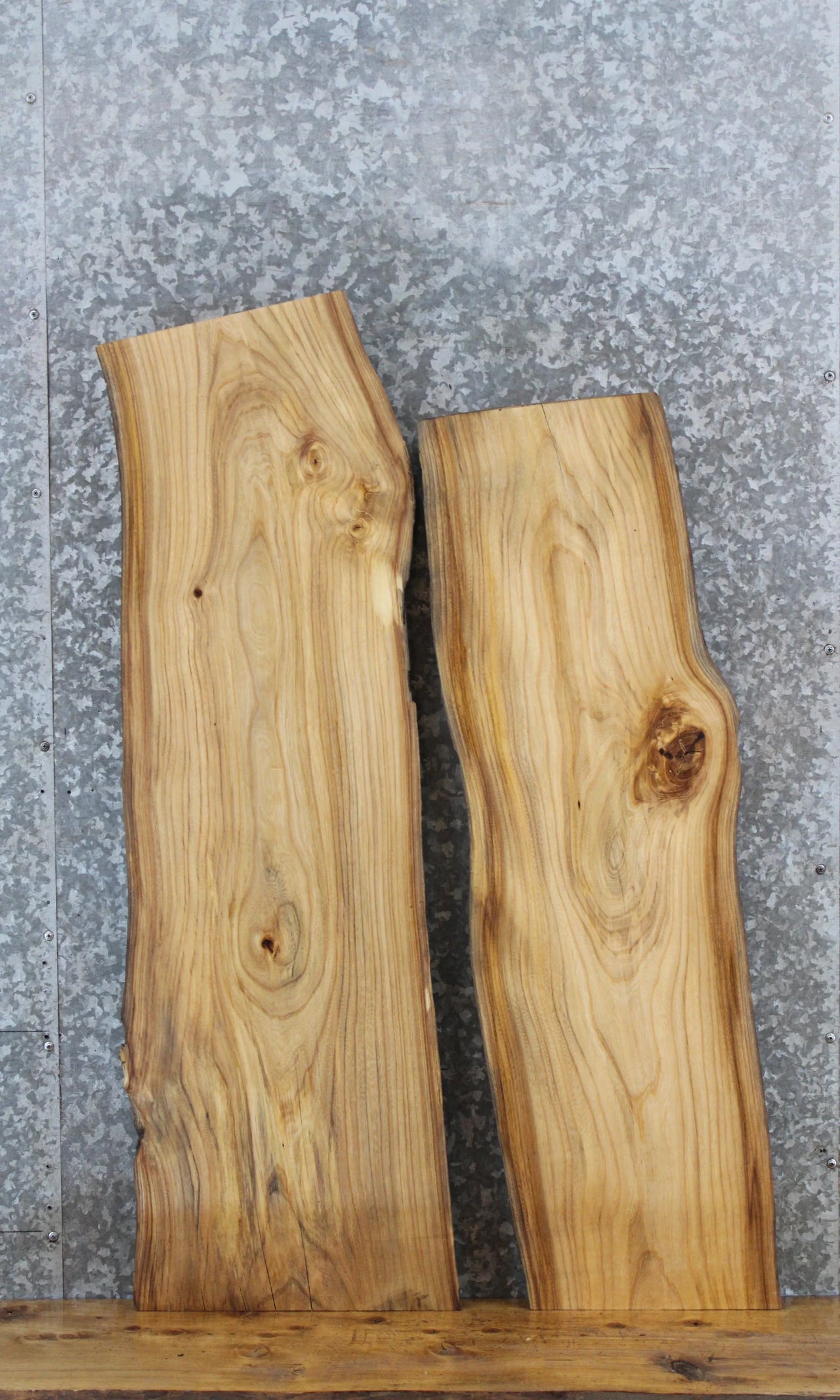 2- Live Edge Elm Side Table Top/Taxidermy Mount Slabs 4301-4302