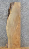 Thumbnail for Live Edge Spalted Maple Wall Shelf/Fireplace Mantel Slab 4316