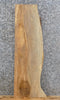 Thumbnail for Live Edge Spalted Maple Wall Shelf/Fireplace Mantel Slab 4316