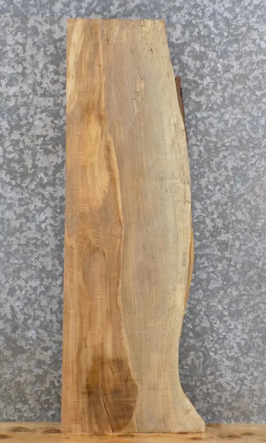 Live Edge Spalted Maple Wall Shelf/Fireplace Mantel Slab 4316