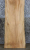 Thumbnail for Live Edge Sycamore Sofa/Coffee Table Top Wood Slab CLOSEOUT 4321