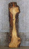 Thumbnail for Rustic Live Edge Red Oak Bar/Table Top/Headboard Slab CLOSEOUT 4322