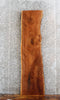 Thumbnail for Live Edge Black Walnut Bench Seat/Console Table Top 4323