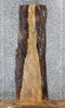 Thumbnail for Live Edge Spalted Maple Side/Console Table Top Slab 4323