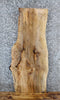 Thumbnail for Live Edge Spalted Maple Sofa/Coffee Table Top Slab 443