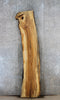 Thumbnail for Salvaged Live Edge Maple Bar Top Slab 20598