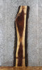Thumbnail for Live Edge Black Walnut Console Table/Bar Top Slab 4343