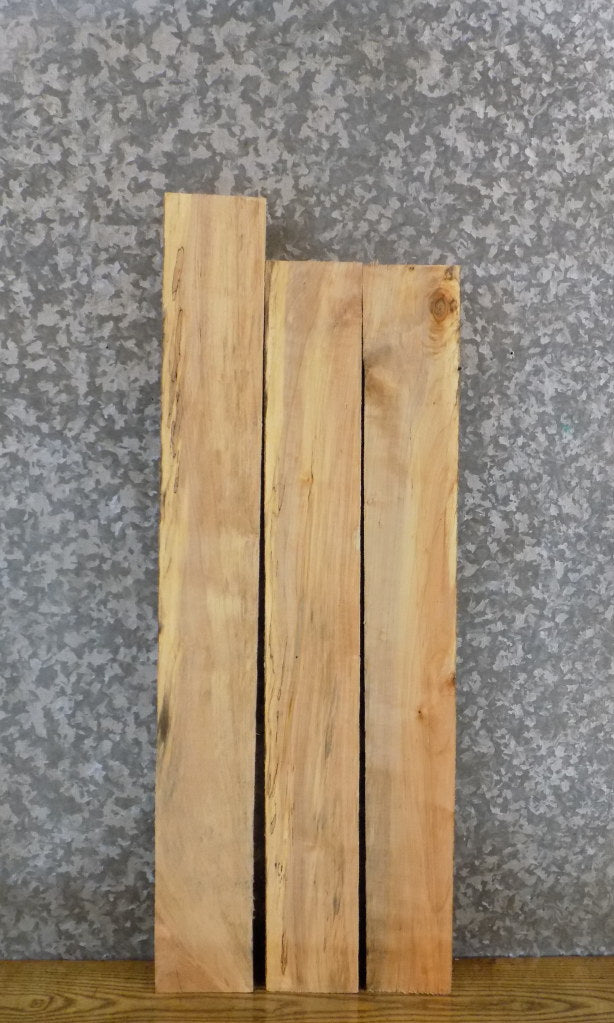 Rustic Maple Lumber 3- Rustic Kiln Dried Maple Lumber Boards/Shelf Slabs/Craft Pack 43551