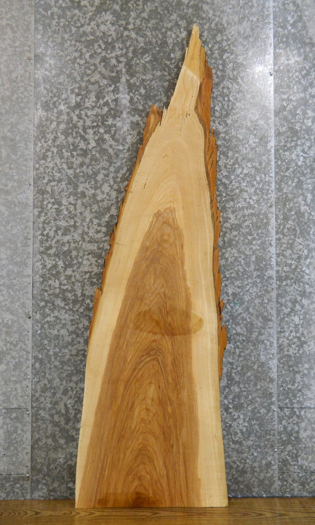 Live Edge Bark Ash Side/Sofa Table Top Wood Slab CLOSEOUT 4363